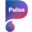 projectpulso.org icon