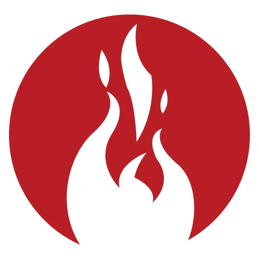 prometheusgroup.com icon