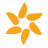 prosolia.com icon