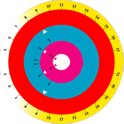 prostatecancer-riskcalculator.com icon