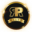 prrelite.com icon