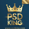 psdking.com icon