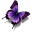 psychologuemaroc.com icon