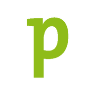 pubble.nl icon