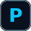 pubcoinsight.com icon