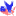 publicadvocateusa.org icon