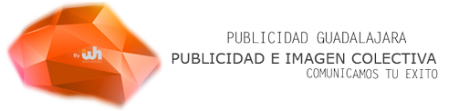 publicidadguadalajara.com icon