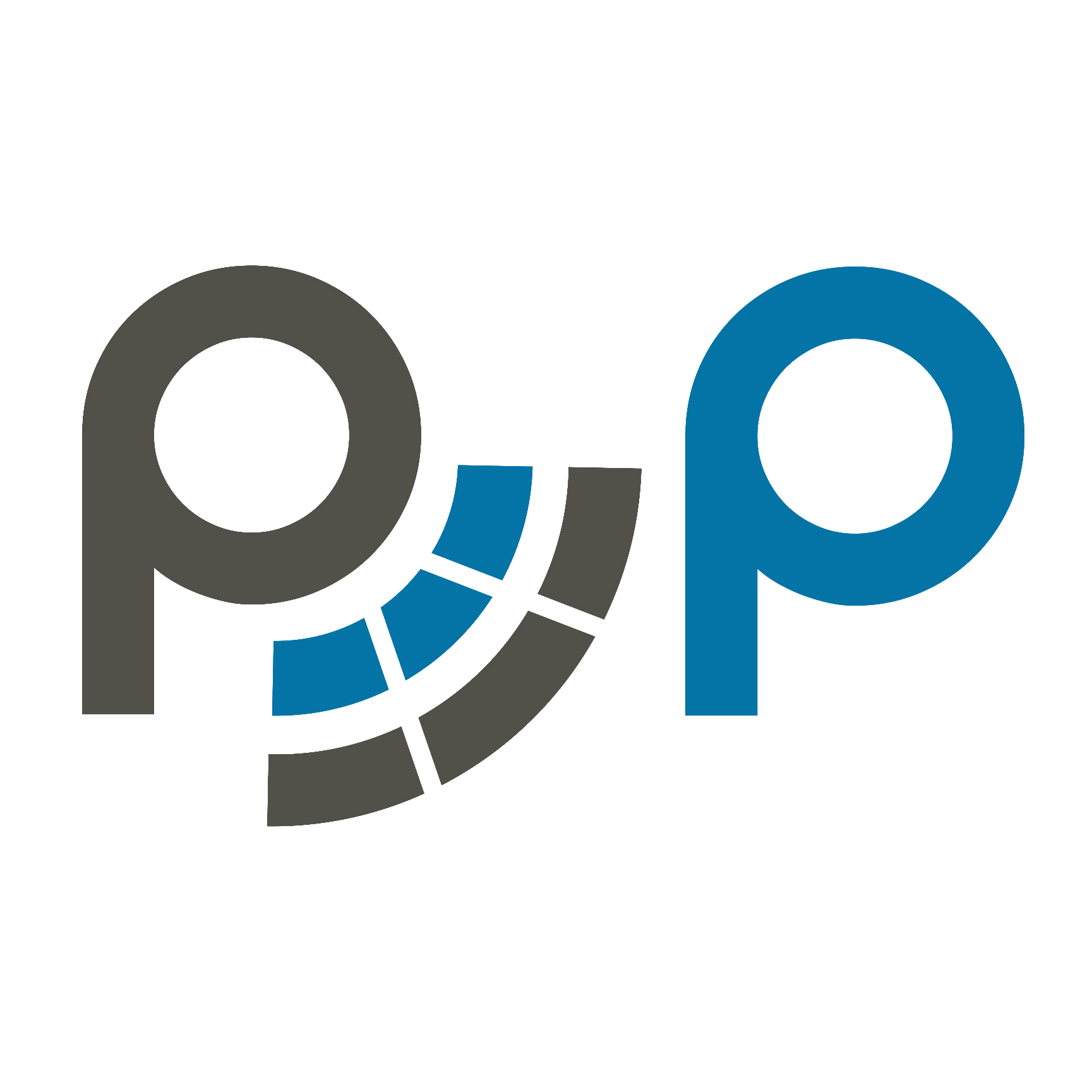 publicpolicy.net icon