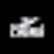 pucara.org icon