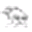 pula.org icon