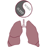 pulmonarysleepmed.com icon