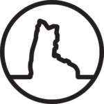 pulsebootlab.com icon