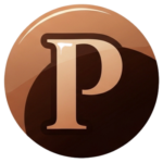 punsifyhub.com icon