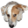 puppypowerhosting.com icon