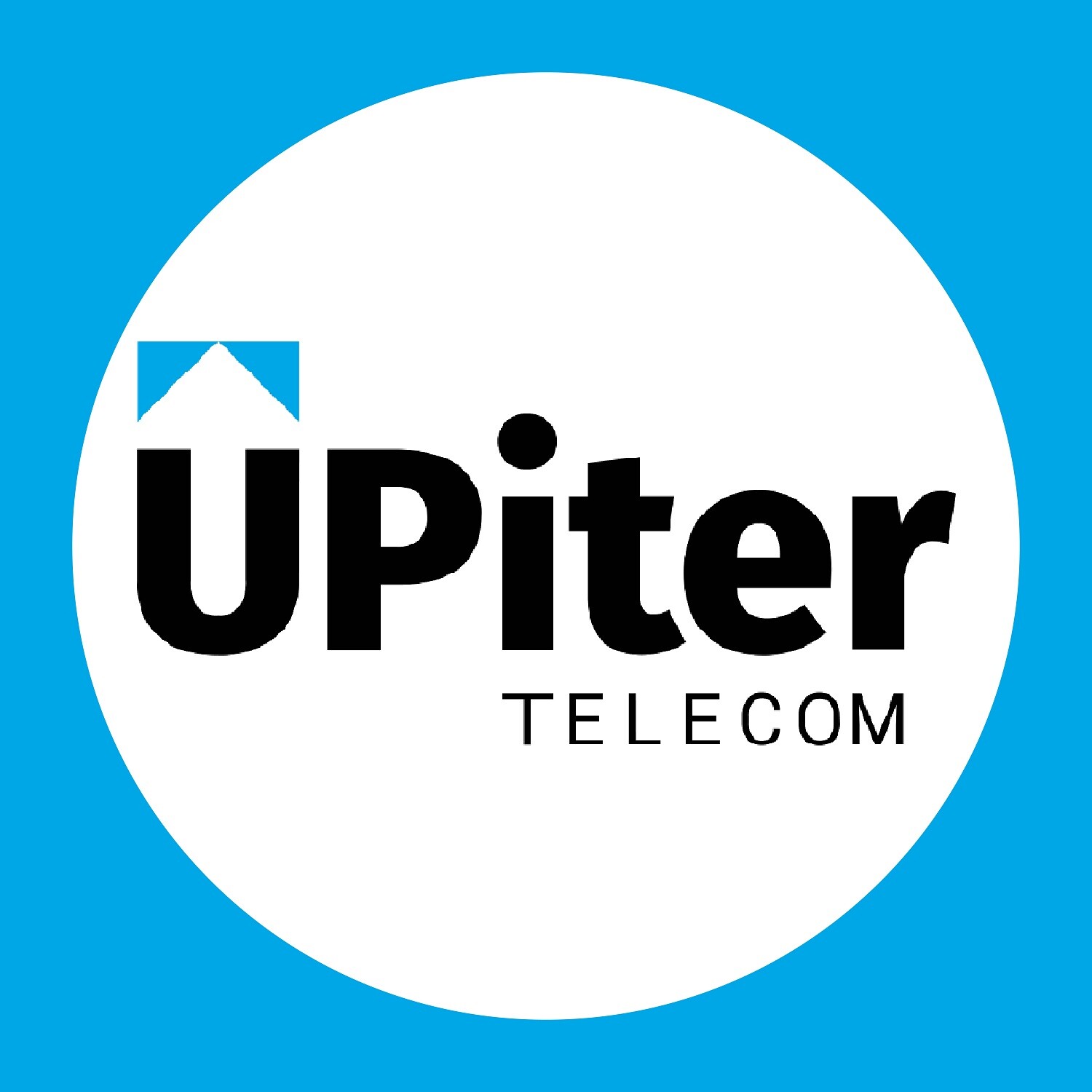 pushkinnet.com logo