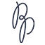 pushkinpress.com icon