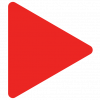 pushkinska.net logo