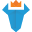 puzl.com icon