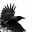 pvgazeta.info icon
