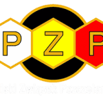 pzp.biz.pl icon
