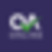qaonline.co.il icon