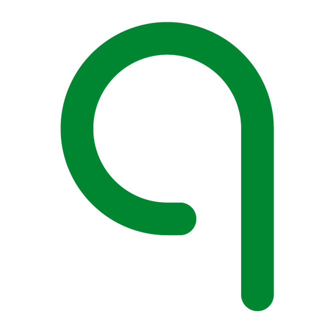 qeen.ai logo