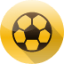 qpfc.com icon