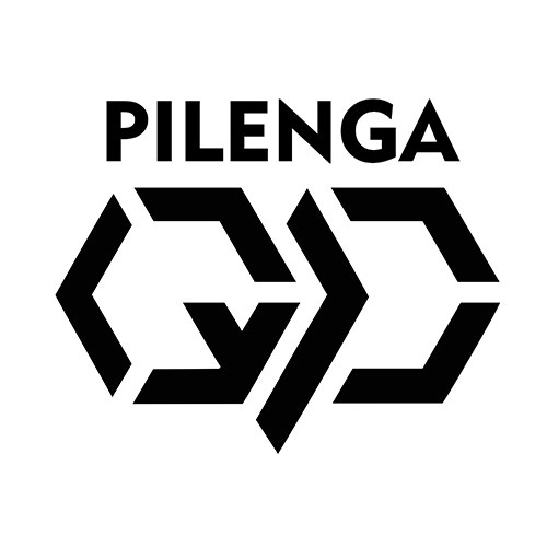 qpilenga.com icon