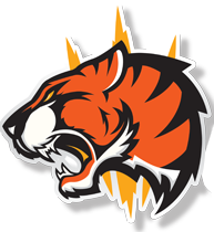 qqmacan34c.com icon