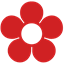 qruiser.com icon