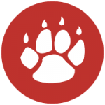 qtechgames.com icon