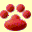 qualitydogs.com icon