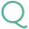 qualivis.com icon