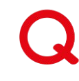 quanint.com icon