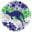 quantumimmigration.com icon