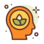 questova.online icon