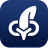 quillchain.com icon