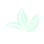 quiromasajeyesteticaana.com icon