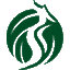 qzdxcj888.com icon
