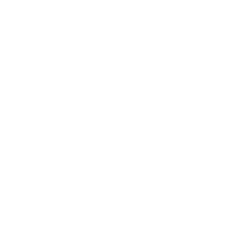 r-z-v.ru icon