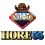 r1shore55.xyz icon
