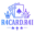 r4cardr4i.cyou icon