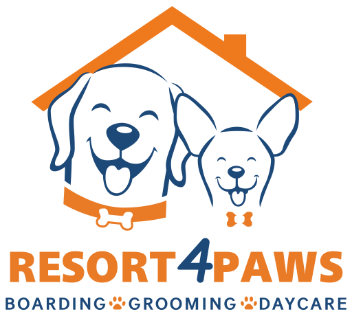 r4paws.com icon