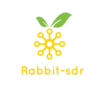 rabbit-sdr.com icon
