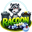 raccoongame.org icon