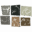 racesaquitaine.fr icon