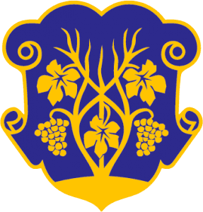 rada-uzhgorod.gov.ua icon