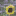 radfernreisen.de icon