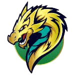 radheconsultancy.com icon
