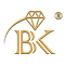 radhikajewellers.in icon
